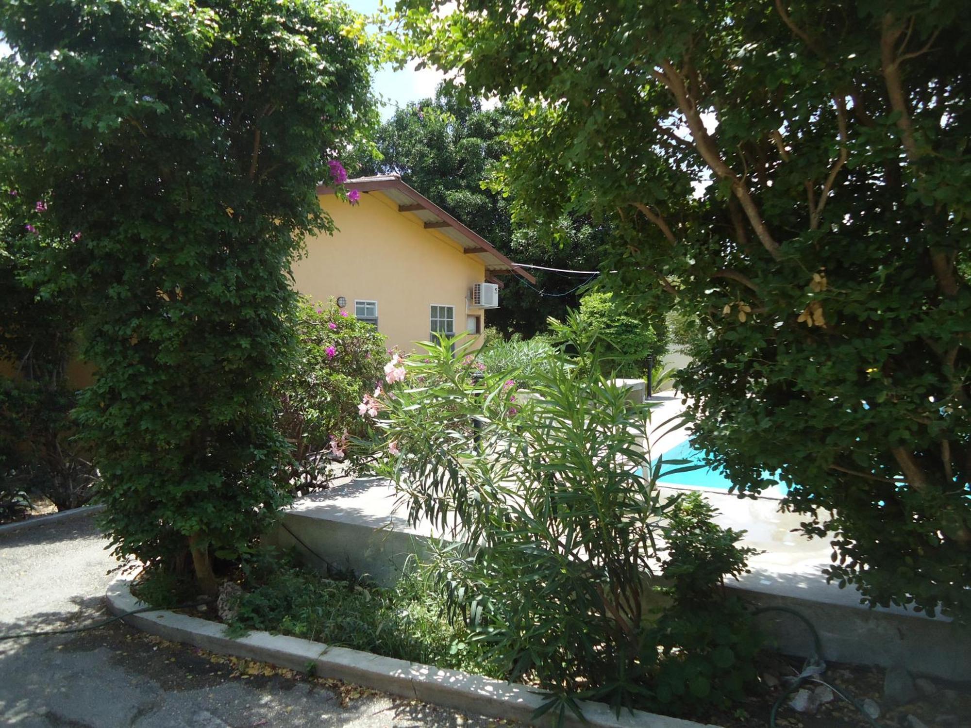 Happy Turtle Apartments Willemstad Exterior photo