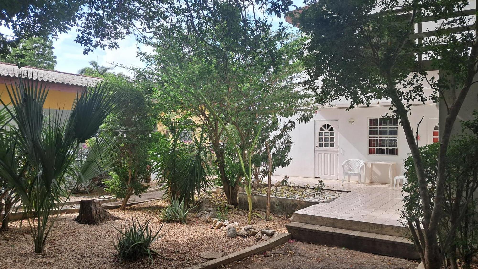 Happy Turtle Apartments Willemstad Exterior photo