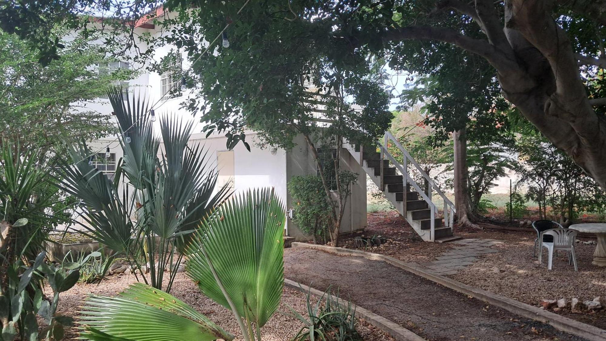 Happy Turtle Apartments Willemstad Exterior photo